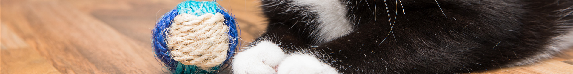 2020-2-14.8-51.GS535877 2020-2-14.8-51.GS535877