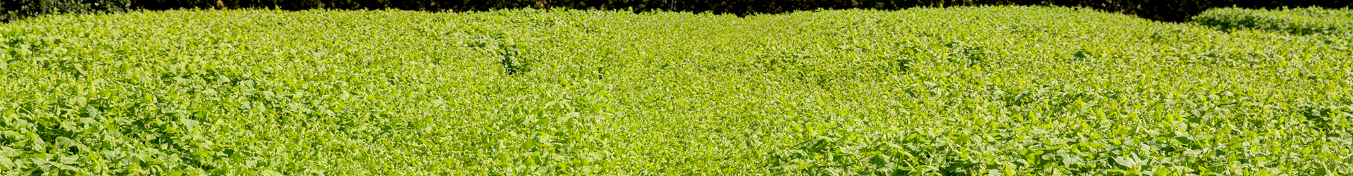 2020-3-11.13-51 2020-3-11.13-51