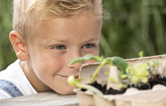 Grüne Bastelideen für Groß und Klein Grüne Bastelideen für Groß und Klein
