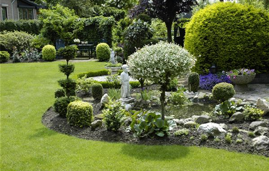 Bäume pflanzen – so wird der Garten groß Bäume pflanzen – so wird der Garten groß