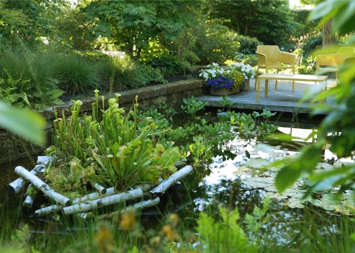 Gartengestaltung - Waldgarten Gartengestaltung - Waldgarten