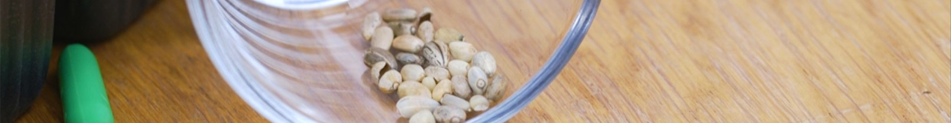 Artischocken - Aussaat (Thumbnail) Artischocken - Aussaat (Thumbnail)