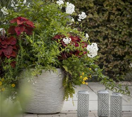 Kübel winterfest machen Kübel winterfest machen