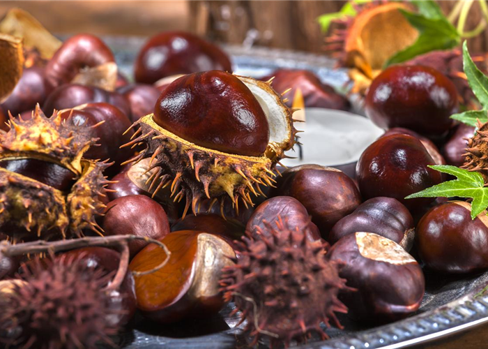 Gartenarbeiten vor dem Winter - schützen und säubern Gartenarbeiten vor dem Winter - schützen und säubern