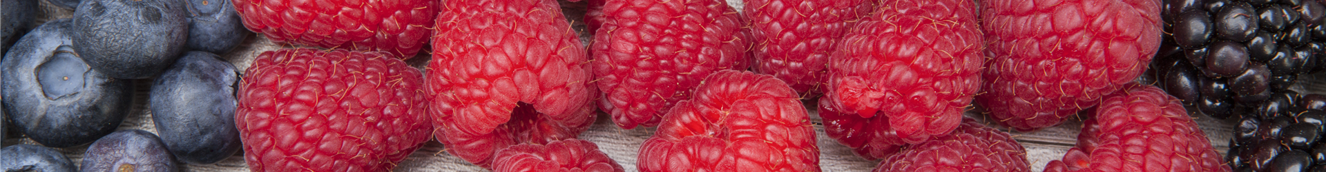 Rubus idaeus