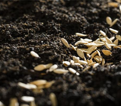 Erden und Torf Erden und Torf