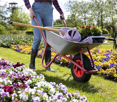 Garten-, Geräte- und Gewächshäuser Garten-, Geräte- und Gewächshäuser