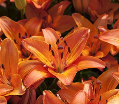 Aktuelle Tipps Aktuelle Tipps