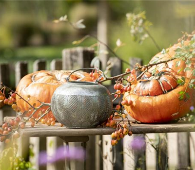 Gartenideen Gartenideen