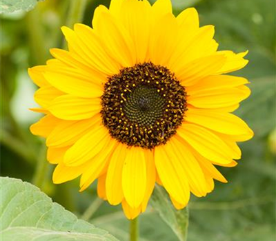 Datenschutz Datenschutz