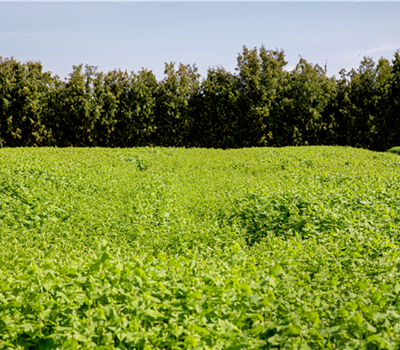 Agrarhandel Agrarhandel