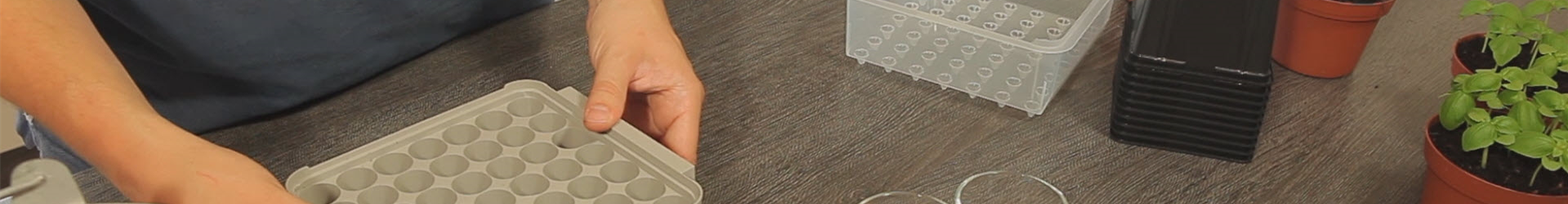 Tomaten - Aussäen von Samen (thumbnail) Tomaten - Aussäen von Samen (thumbnail)