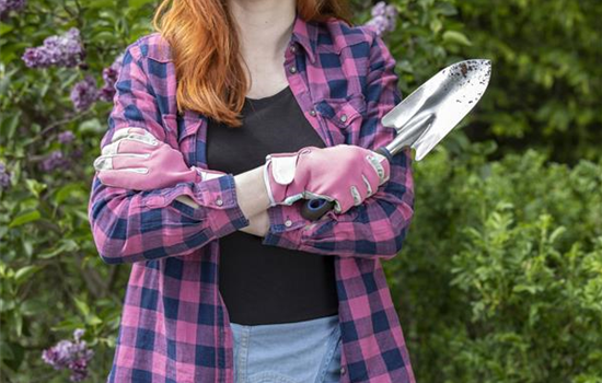 Es ist soweit: der Frühjahrsputz im Garten Es ist soweit: der Frühjahrsputz im Garten