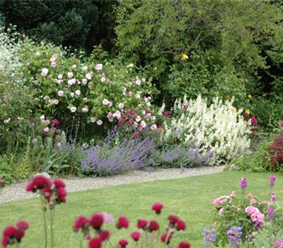 Aller Anfang ist (nicht) schwer - der erste eigene Garten Aller Anfang ist (nicht) schwer - der erste eigene Garten