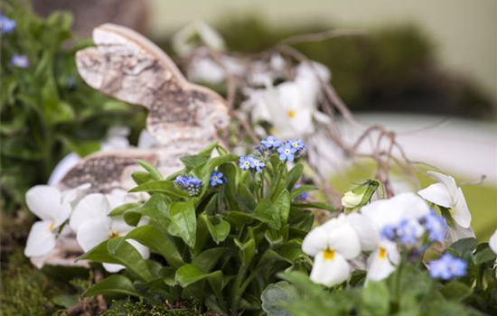 Ostern vor der Haustür Ostern vor der Haustür