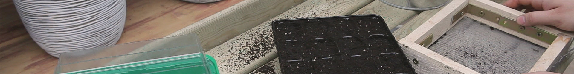 Chinakohl - Aussäen von Samen (thumbnail) Chinakohl - Aussäen von Samen (thumbnail)