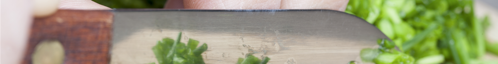 Allium schoenoprasum