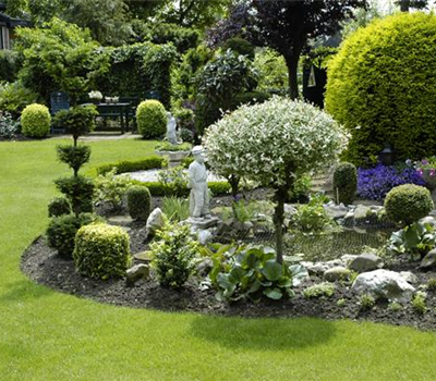 Bäume pflanzen – so wird der Garten groß Bäume pflanzen – so wird der Garten groß