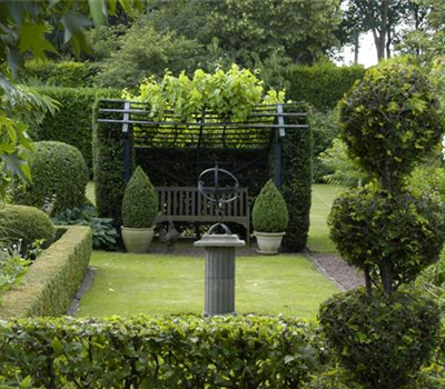 Auf die Form gekommen – Formgehölze im Garten Auf die Form gekommen – Formgehölze im Garten