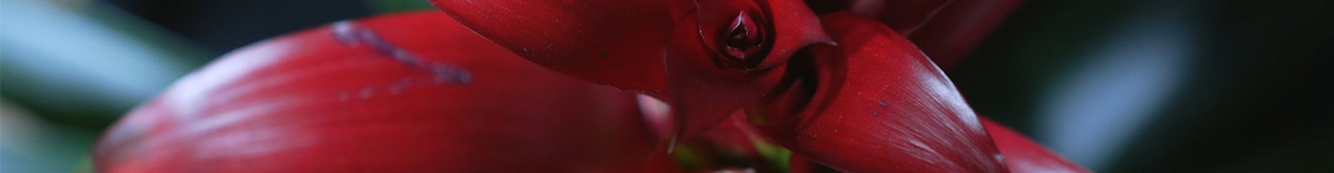 Ashampoo_Snap_Dienstag, 21. Juni 2022_09h03m06s_001_