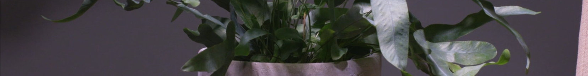 Ashampoo_Snap_Dienstag, 21. Juni 2022_09h15m46s_002_