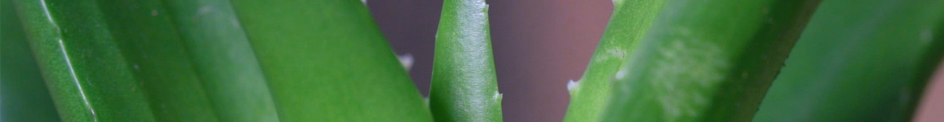 Ashampoo_Snap_Dienstag, 21. Juni 2022_10h17m42s_004_