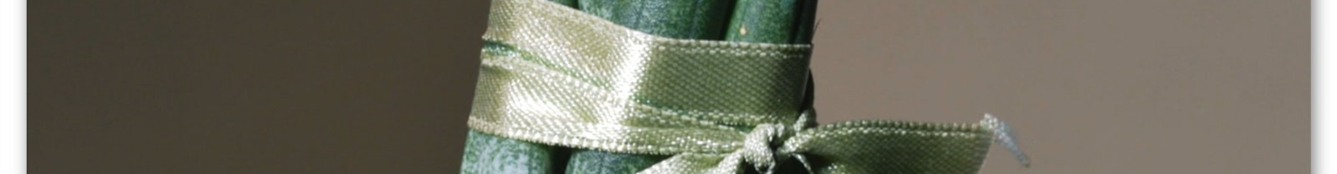 Zimmerpflanzenportrait- Bogenhanf (Thumbnail)