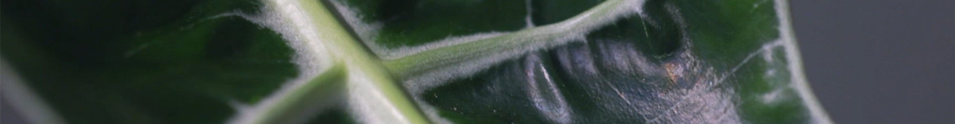 Ashampoo_Snap_Donnerstag, 23. Juni 2022_11h51m45s_003_