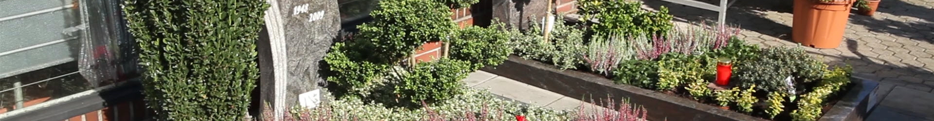 Doppelgrab - Grabbepflanzung für den Herbst (thumbnail) Doppelgrab - Grabbepflanzung für den Herbst (thumbnail)