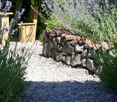 Mauern, Zäune und Hecken – mehr als nur Grenzen  Mauern, Zäune und Hecken – mehr als nur Grenzen