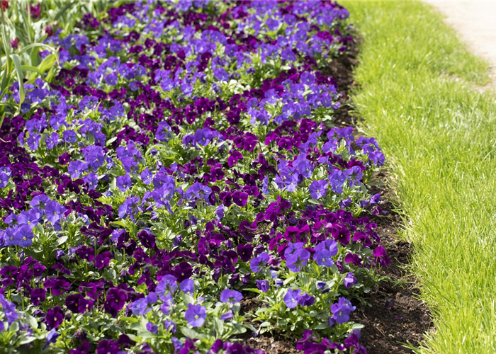 Klimazonen im Garten schaffen