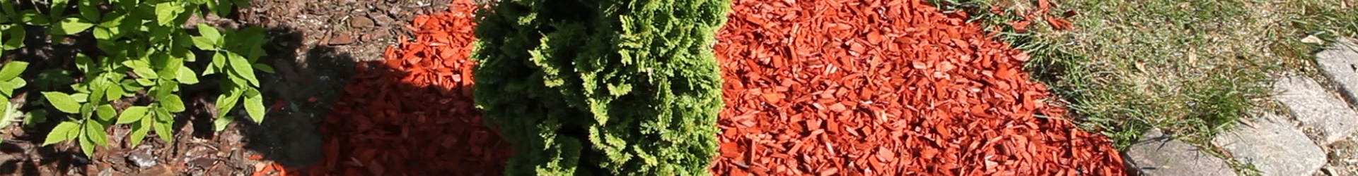 Mulch - Einsatz im Garten (thumbnail) Mulch - Einsatz im Garten (thumbnail)