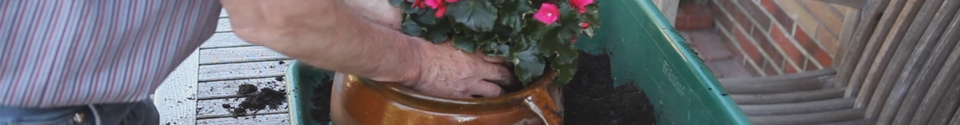 Blumenkübel - Bepflanzen mit mehreren Sommerblumen Blumenkübel - Bepflanzen mit mehreren Sommerblumen